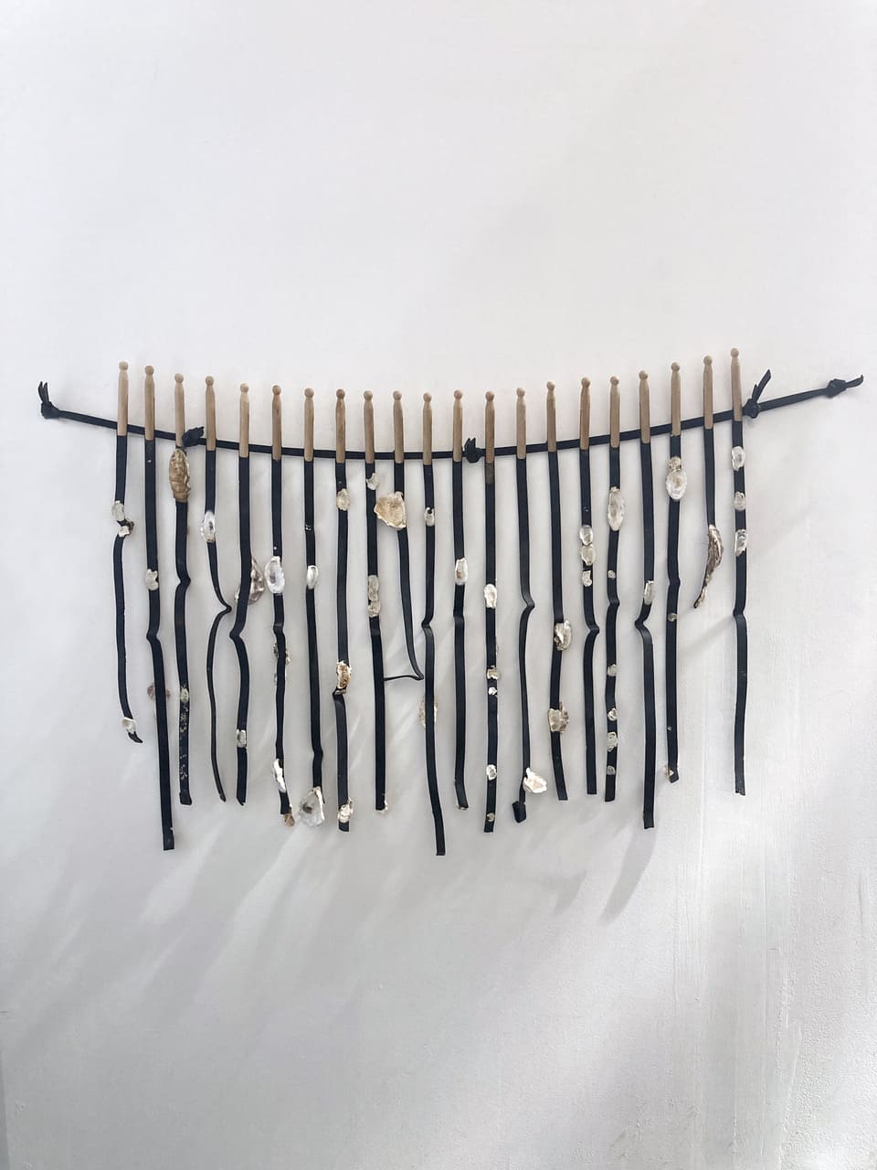 Tube Gallery Rachael Louise Bailey Cohabitation The Black Stuff oysters wooden pegs 250x40cm 2022